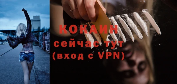 индика Лабытнанги