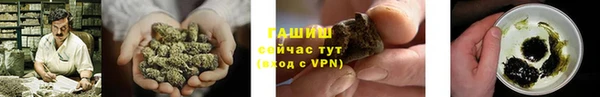 индика Лабытнанги