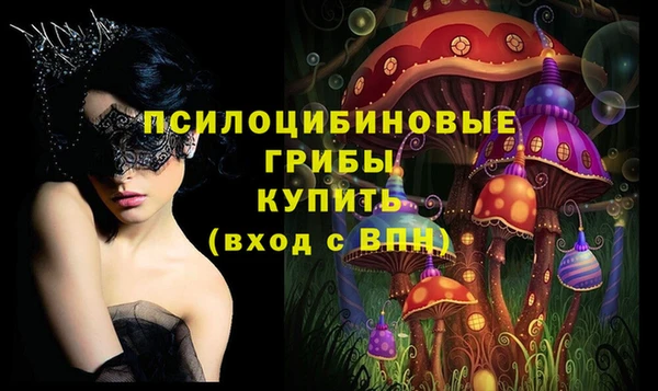 мдпв Лагань