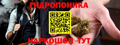 индика Ирбит