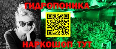 индика Ирбит