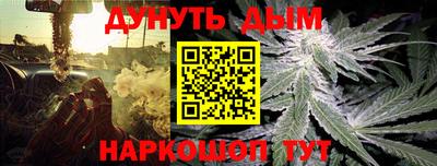 индика Ирбит