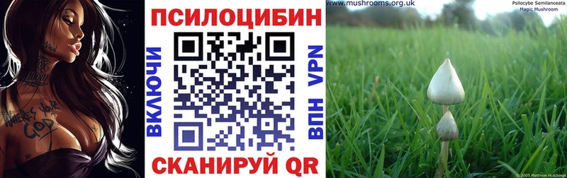 Галлюциногенные грибы мицелий  блэк спрут онион  Феодосия 