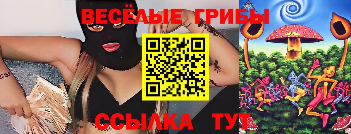 Галлюциногенные грибы прущие грибы Феодосия